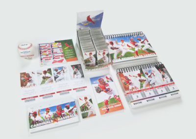 Cardinals 2018 Campaign Theme