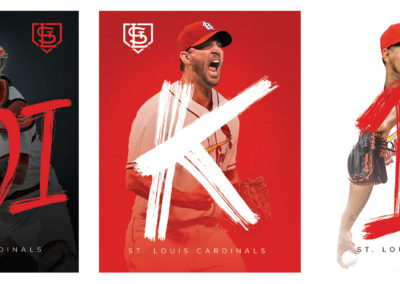 Cardinals Campaign Theme Concept