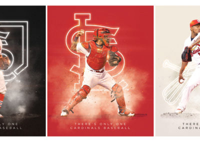 Cardinals Theme Concept